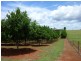 258 ATC HALL ROAD, North Isis QLD 4660