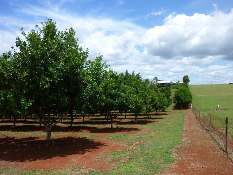 258 ATC HALL ROAD, North Isis QLD 4660