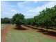 258 ATC HALL ROAD, North Isis QLD 4660