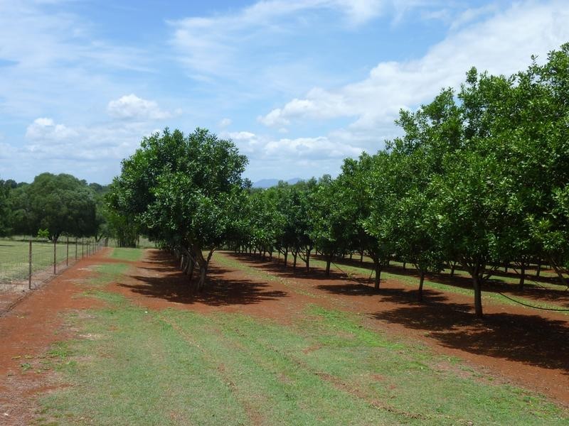 258 ATC HALL ROAD, North Isis QLD 4660
