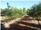 258 ATC HALL ROAD, North Isis QLD 4660