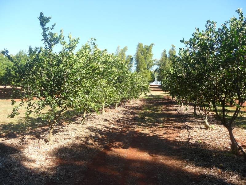 258 ATC HALL ROAD, North Isis QLD 4660