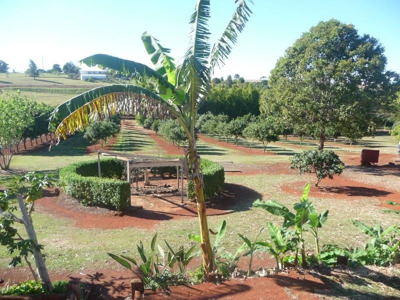 258 ATC HALL ROAD, North Isis QLD 4660