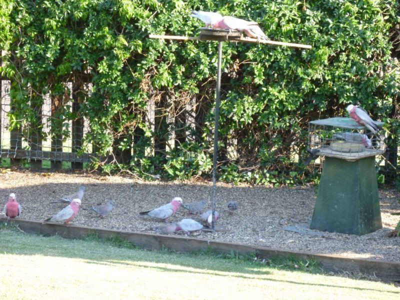 1 CANECUTTER COURT, Childers QLD 4660