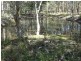 144 FAINTS ROAD, Eureka QLD 4660