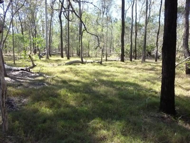 144 FAINTS ROAD, Eureka QLD 4660