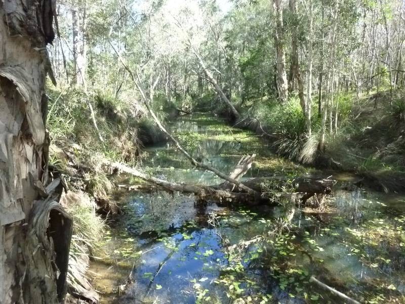 15 KINGSTON DRIVE, Cordalba QLD 4660