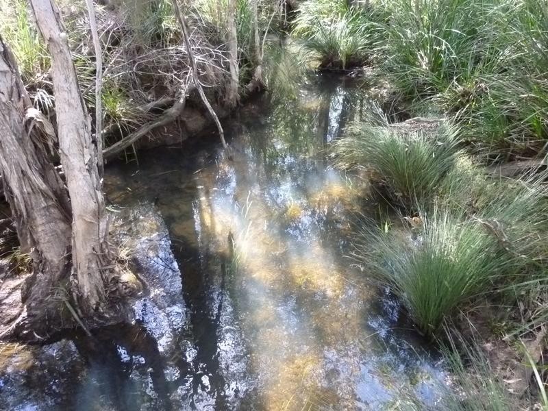 15 KINGSTON DRIVE, Cordalba QLD 4660