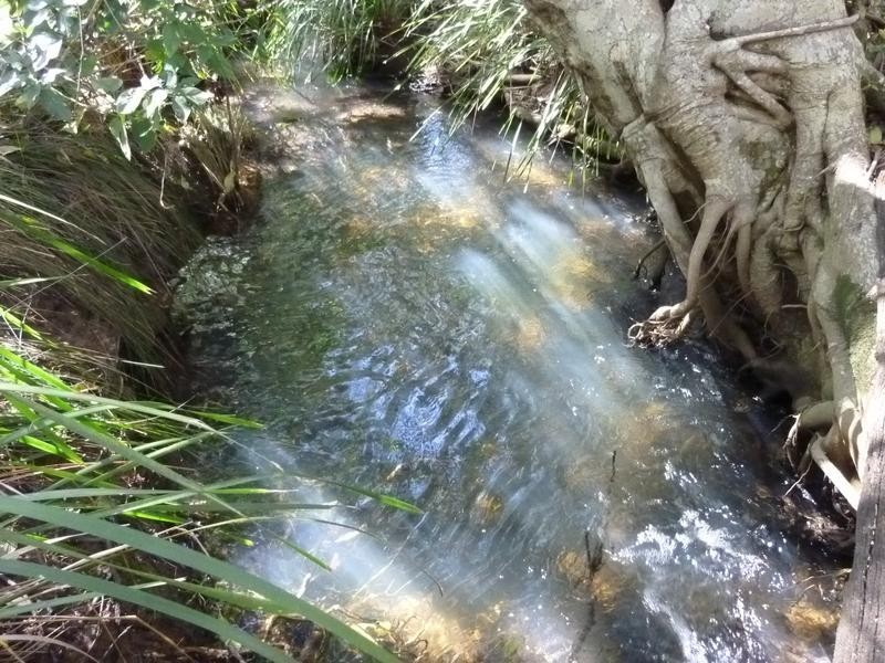 15 KINGSTON DRIVE, Cordalba QLD 4660