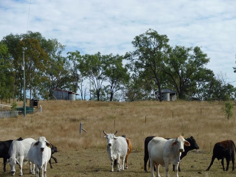 Lot 153,  Grills Road, Dallarnil QLD 4621