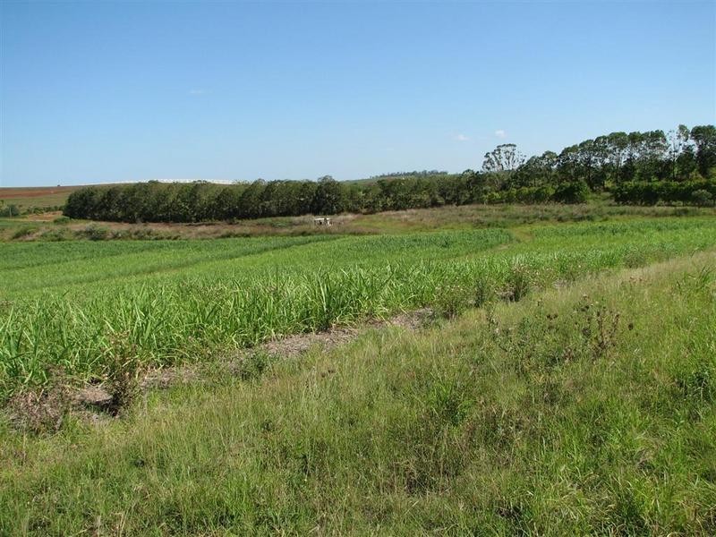 112 Butchers Road, Childers QLD 4660