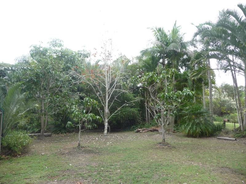278 Rainbows Road, South Isis QLD 4660