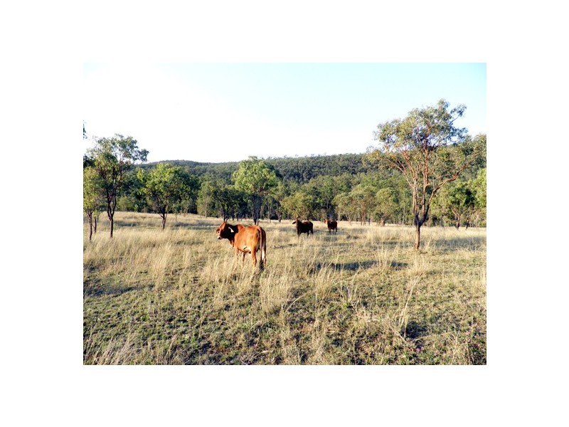 01 The Limits Road, Gayndah QLD 4625