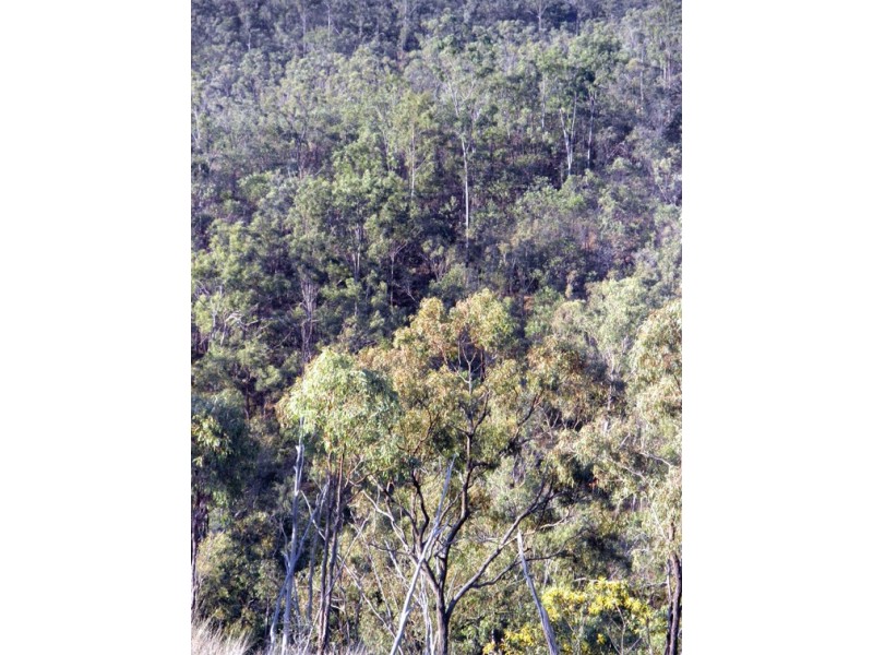 01 The Limits Road, Gayndah QLD 4625