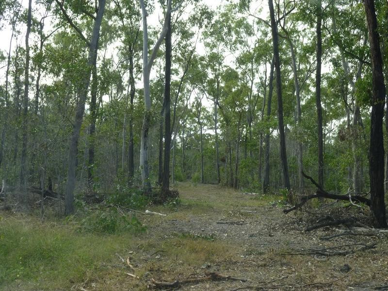 311 SVENSSONS ROAD, Childers QLD 4660