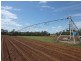 Petersen Road, Owanyilla, Maryborough QLD 4650