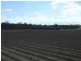 Petersen Road, Owanyilla, Maryborough QLD 4650