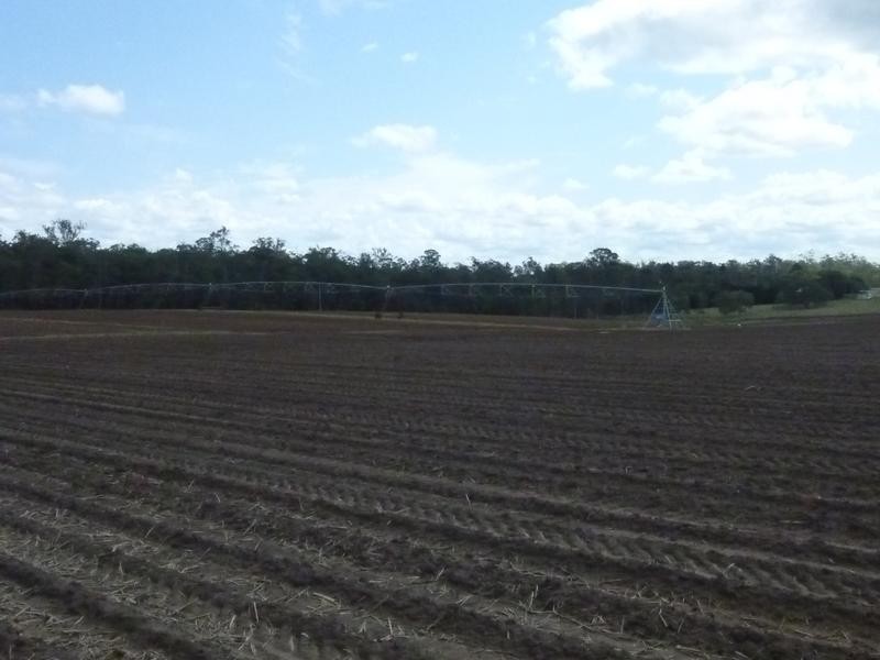 Petersen Road, Owanyilla, Maryborough QLD 4650