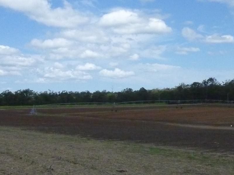 Petersen Road, Owanyilla, Maryborough QLD 4650