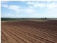 Petersen Road, Owanyilla, Maryborough QLD 4650