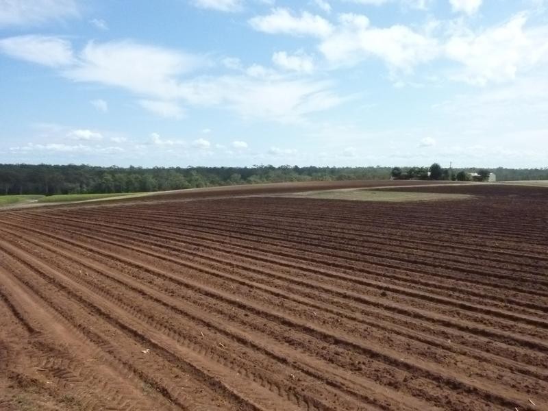 Petersen Road, Owanyilla, Maryborough QLD 4650