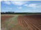 Petersen Road, Owanyilla, Maryborough QLD 4650