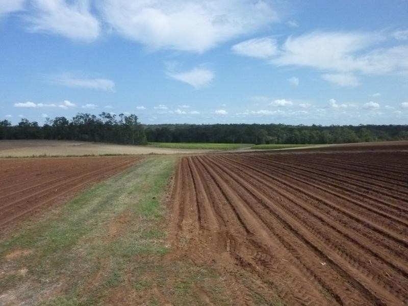 Petersen Road, Owanyilla, Maryborough QLD 4650