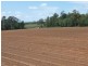 Petersen Road, Owanyilla, Maryborough QLD 4650