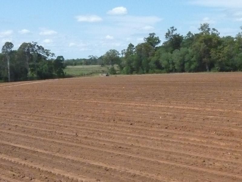 Petersen Road, Owanyilla, Maryborough QLD 4650