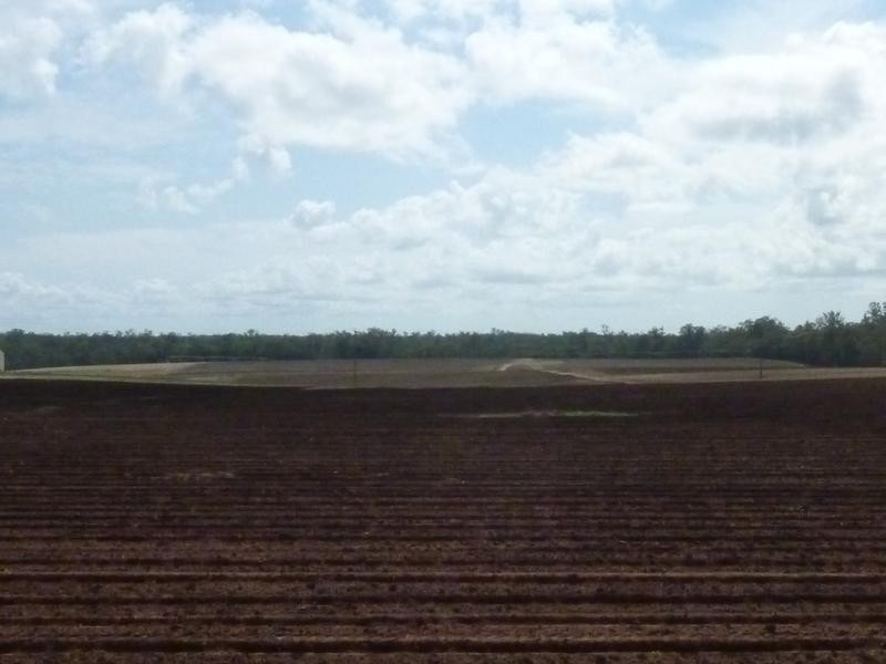 Petersen Road, Owanyilla, Maryborough QLD 4650