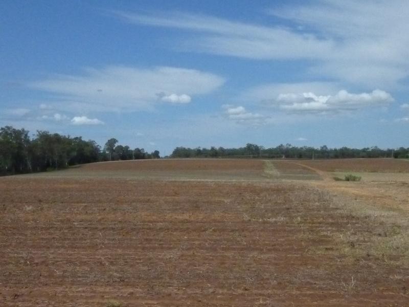 Petersen Road, Owanyilla, Maryborough QLD 4650