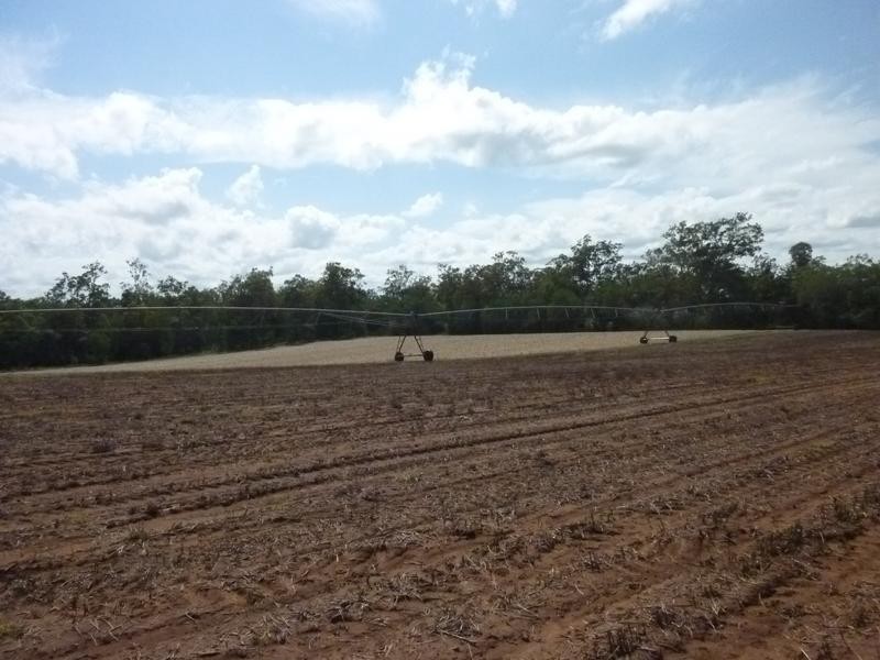 Petersen Road, Owanyilla, Maryborough QLD 4650