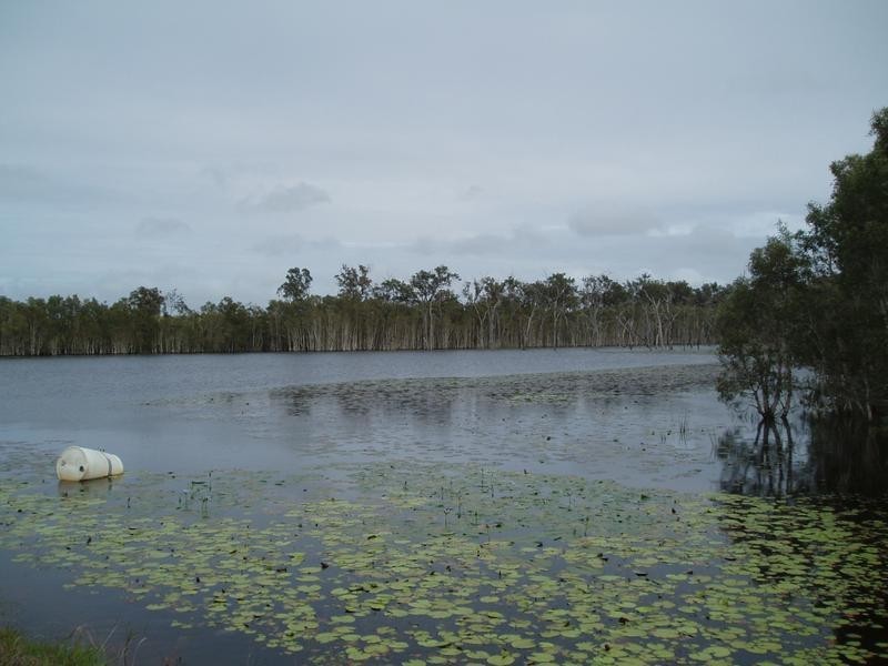 1 Tramway Road, FARNSFIELD, Childers QLD 4660