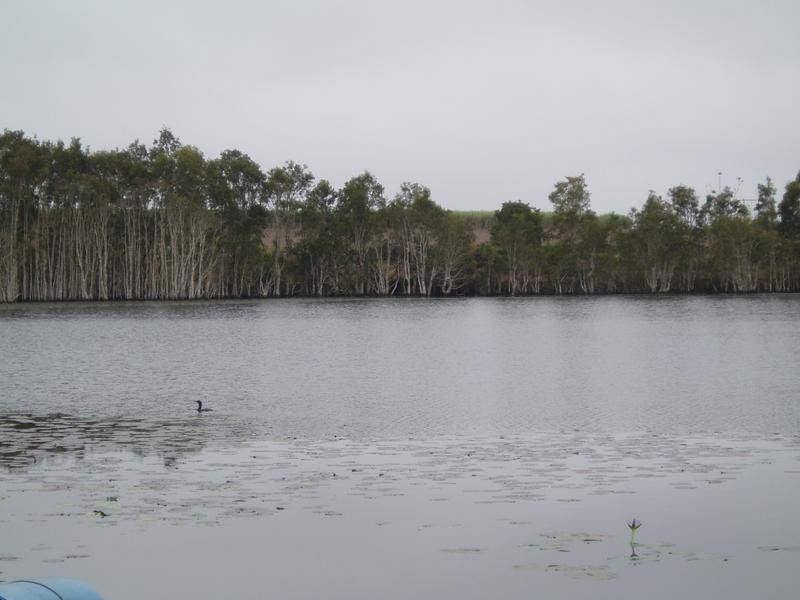 1 Tramway Road, FARNSFIELD, Childers QLD 4660