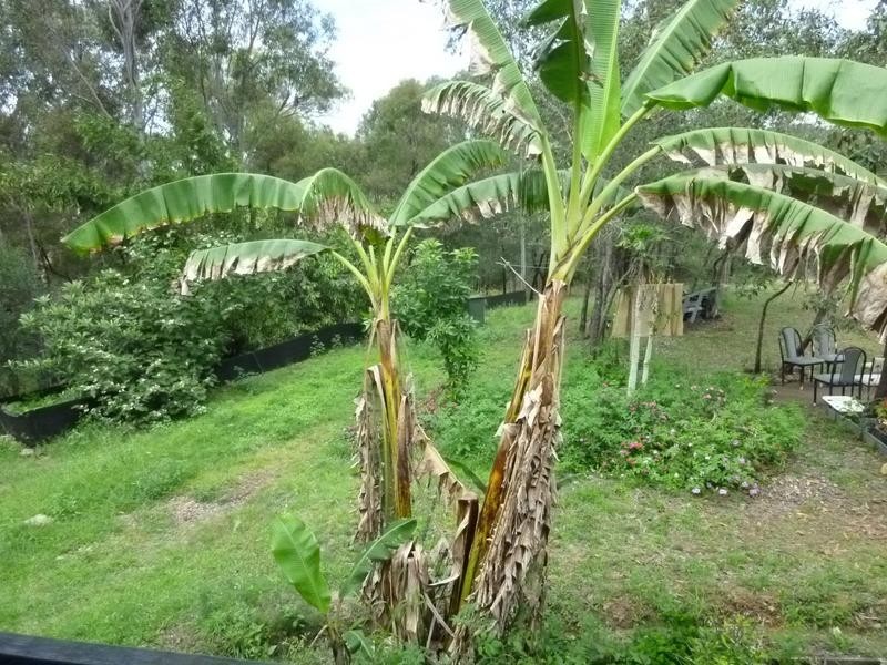 3 MADLE COURT, Booyal QLD 4671