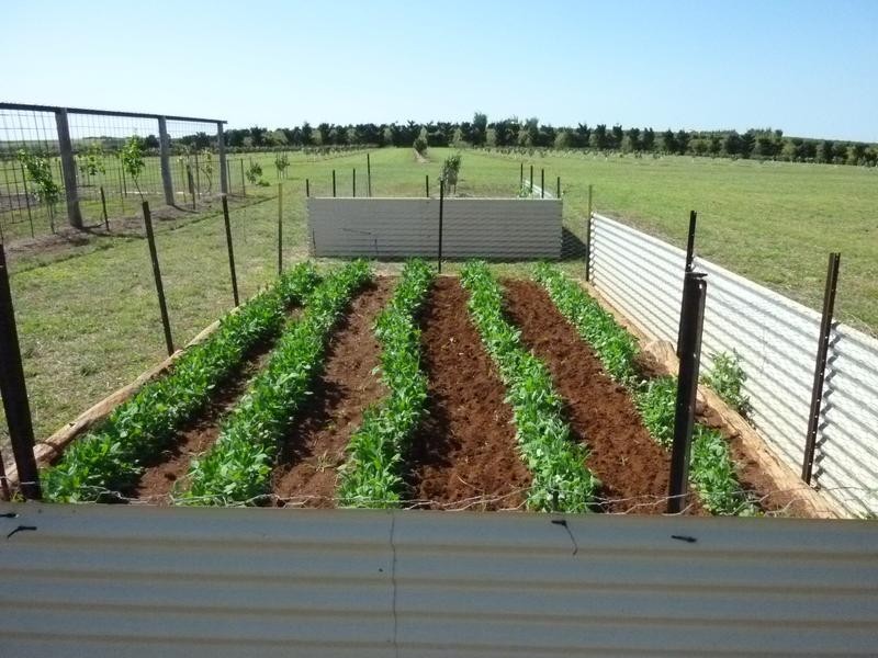 141 Doolbi Dam Road, Doolbi QLD 4660