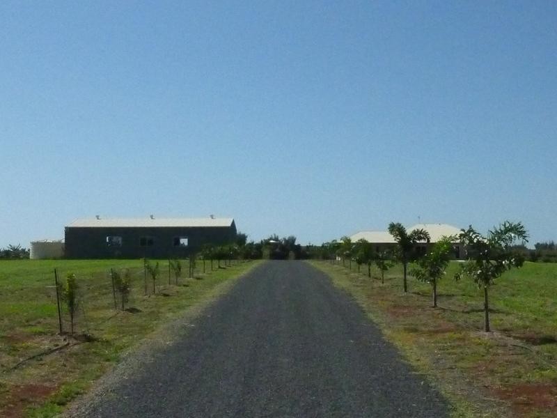 141 Doolbi Dam Road, Doolbi QLD 4660