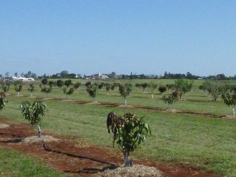 141 Doolbi Dam Road, Doolbi QLD 4660