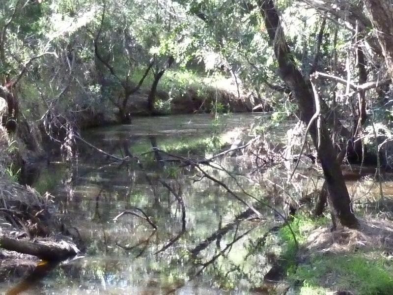 Lot 12,  SECCOMBES ROAD, DEGILBO, Biggenden QLD 4621