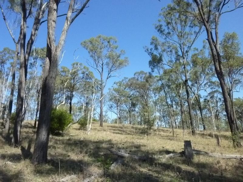 Lot 12,  SECCOMBES ROAD, DEGILBO, Biggenden QLD 4621
