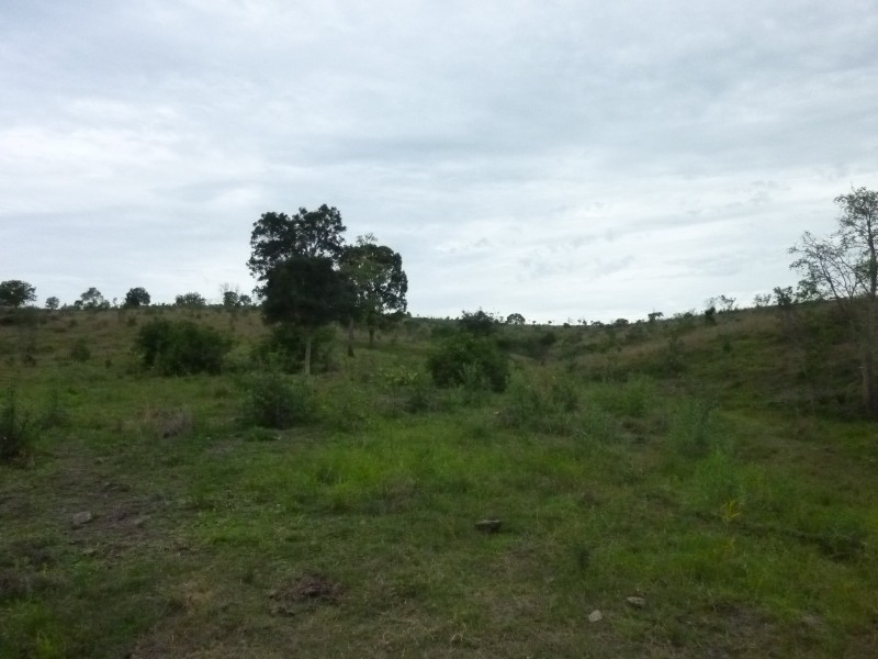 Coringa Hills Road, Coringa QLD 4621