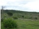 Coringa Hills Road, Coringa QLD 4621