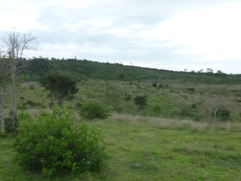 Coringa Hills Road, Coringa QLD 4621