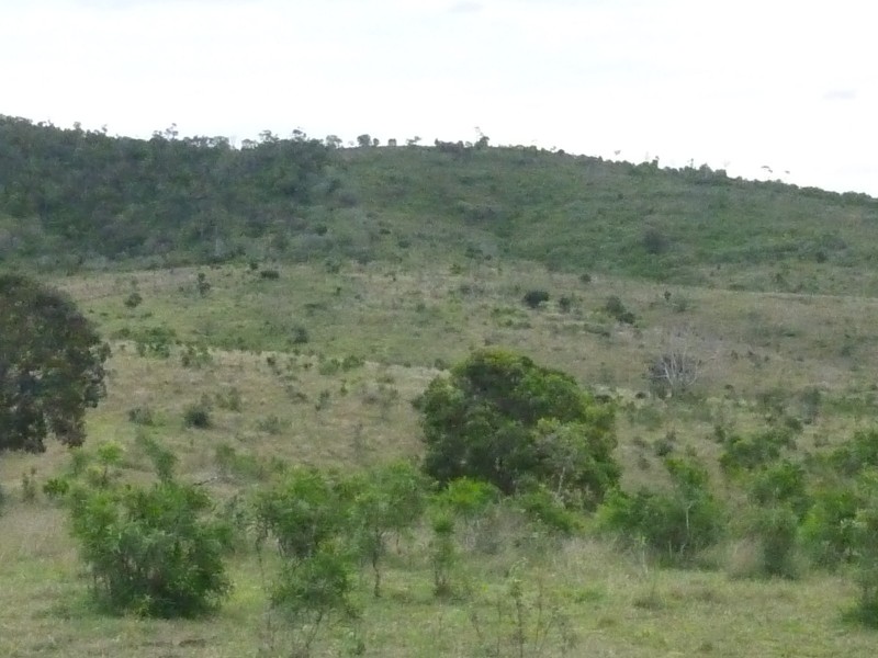 Coringa Hills Road, Coringa QLD 4621