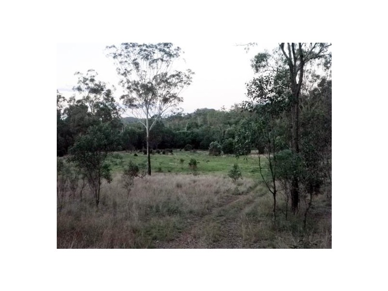 BINJOUR BRANCH CREEK ROAD, Binjour QLD 4625