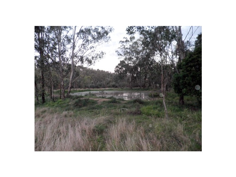 BINJOUR BRANCH CREEK ROAD, Binjour QLD 4625