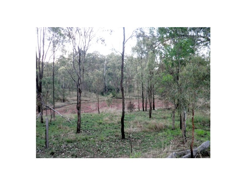 BINJOUR BRANCH CREEK ROAD, Binjour QLD 4625