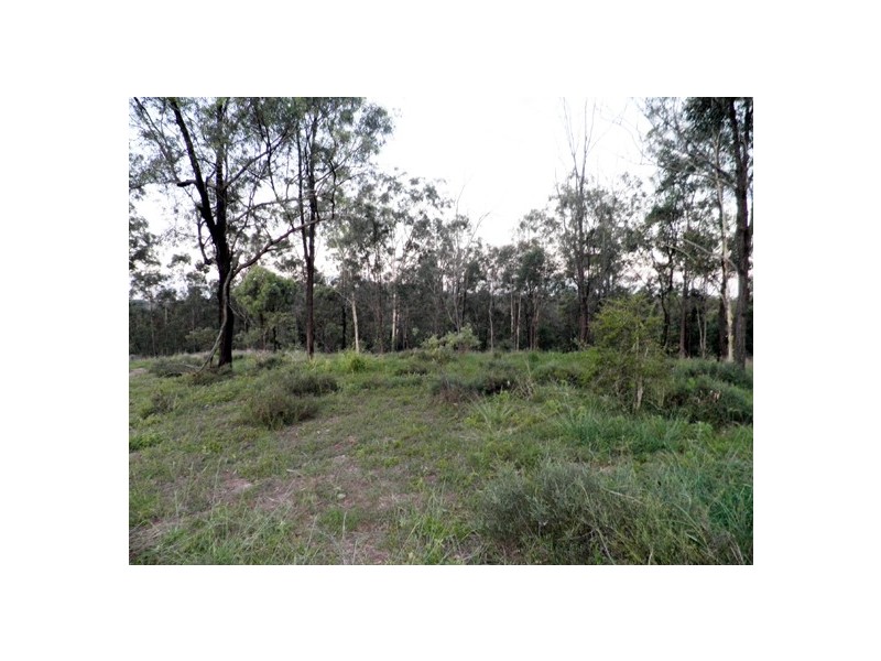 BINJOUR BRANCH CREEK ROAD, Binjour QLD 4625