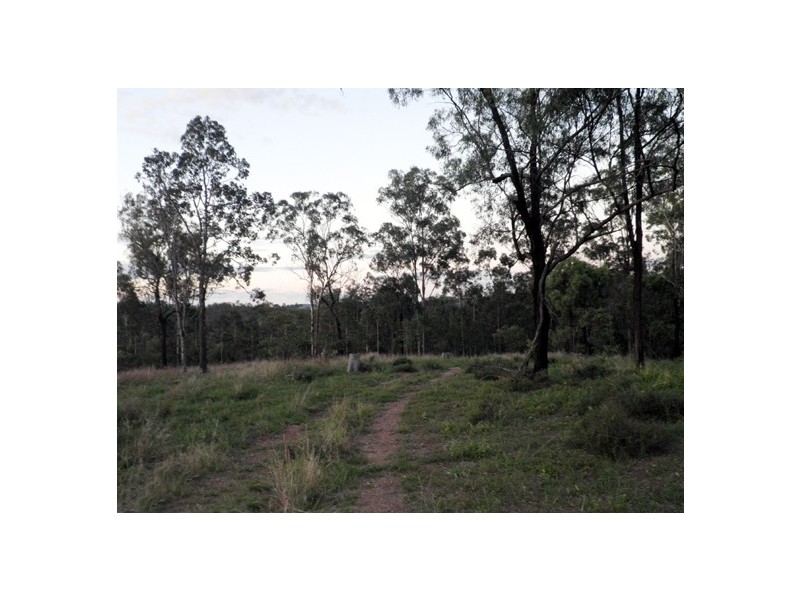 BINJOUR BRANCH CREEK ROAD, Binjour QLD 4625