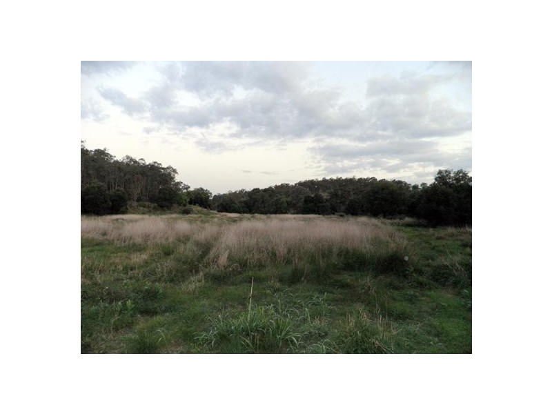 BINJOUR BRANCH CREEK ROAD, Binjour QLD 4625